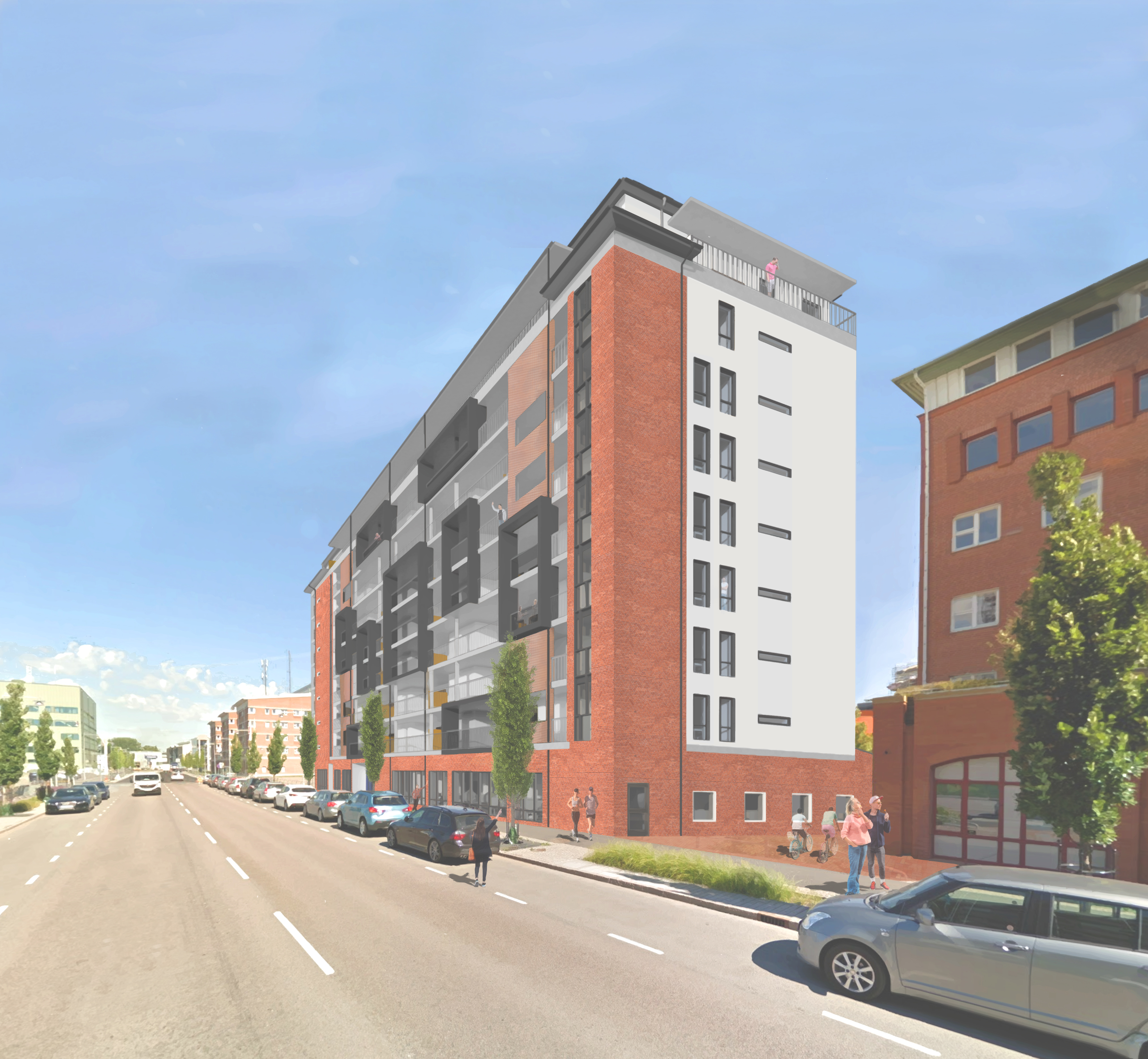 Vänersnipan illustration